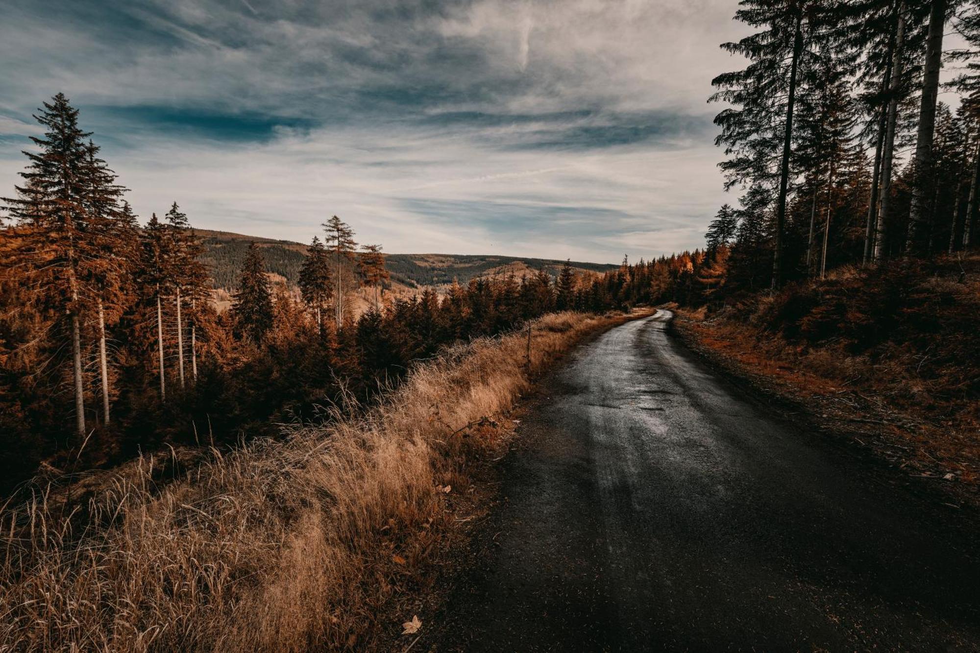 Willa Z Gwarantowanym Widokiem Na Gory Aleksander Panorama Świeradów-Zdrój Exterior foto