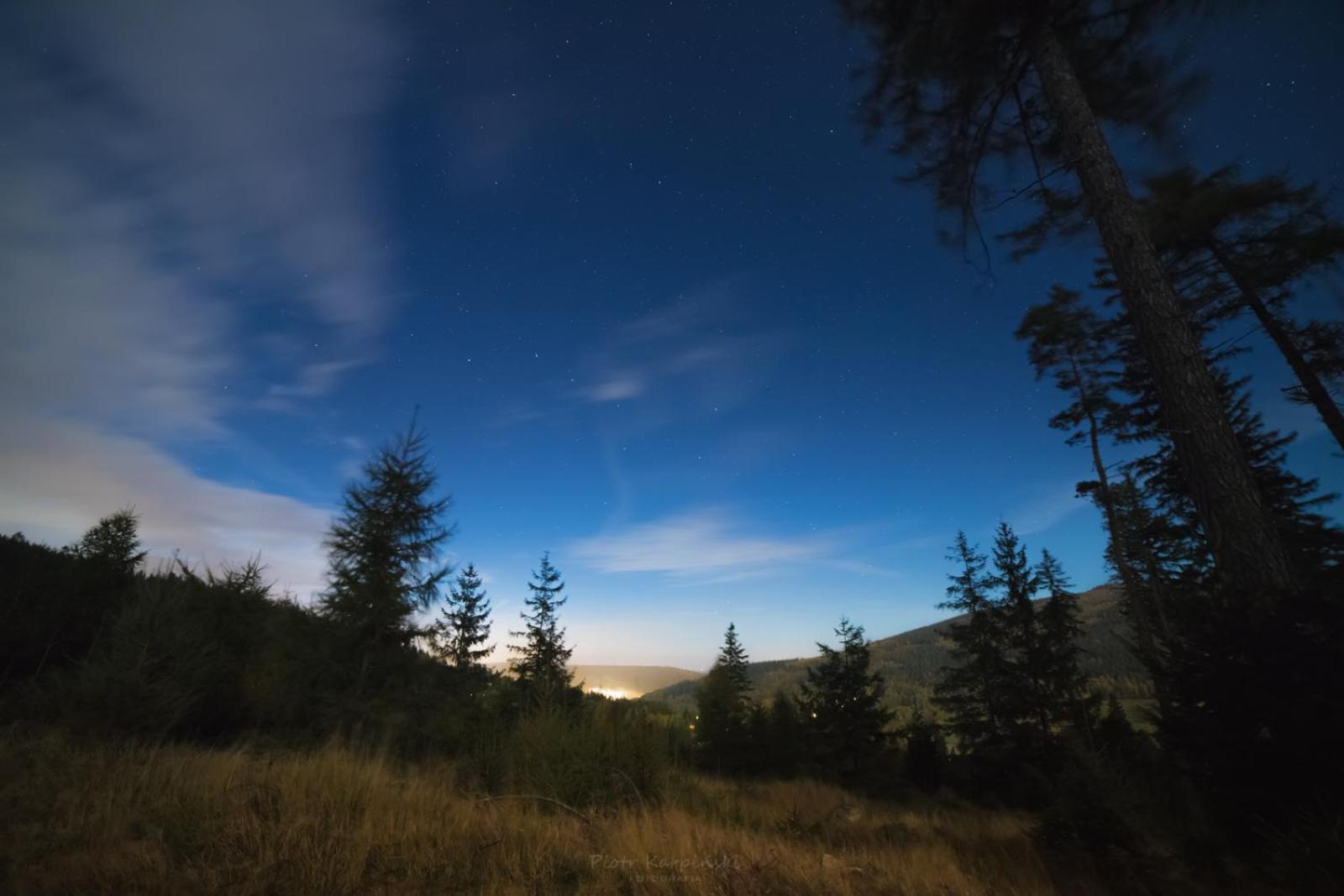 Willa Z Gwarantowanym Widokiem Na Gory Aleksander Panorama Świeradów-Zdrój Exterior foto